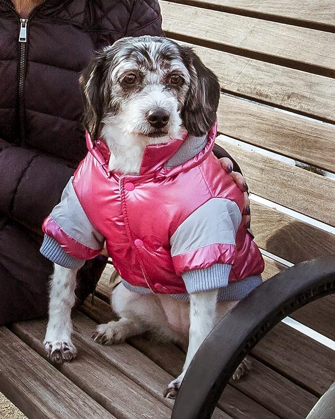 Pet Life ® Sporty Vintage Aspen Pet Ski Jacket