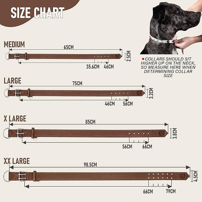 Riparo Dog Collar - Genuine Leather Dog Collars - Heavy Duty Dog Collars for Medium Large and Extra Large Dog Breeds (M: 1” Wide for 14” - 18” Neck, Brown)