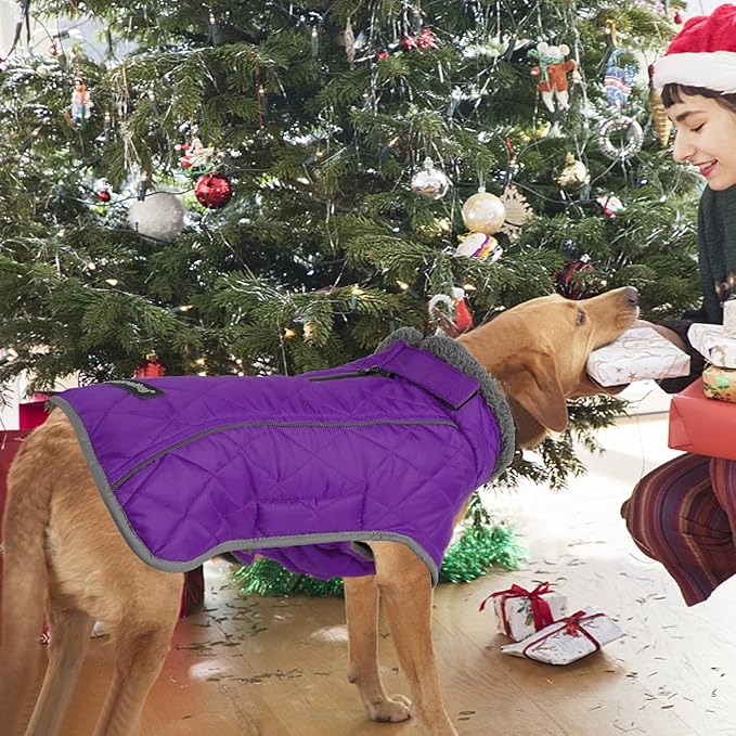 Fragralley Dog Coat Large, Waterproof Dog Jacket with Warm Fleece Lining, Adjustable Reflective Dogs Winter Coat, Turtleneck Pet Coats for Cold Weather (Purple XL)
