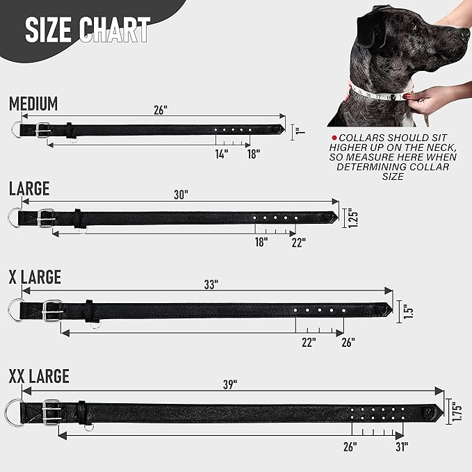 Riparo Dog Collar - Genuine Leather Dog Collars - Heavy Duty Dog Collars for Medium Large and Extra Large Dog Breeds (XL: 1.5” Wide for 22” - 26” Neck, Black)