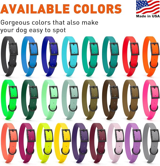 Dogline Biothane Waterproof Dog Collar Strong Coated Nylon Webbing with Black Hardware Odor- Proof for Easy Care Easy to Clean High Performance Fits Small Medium or Large Dogs, Tropical Green