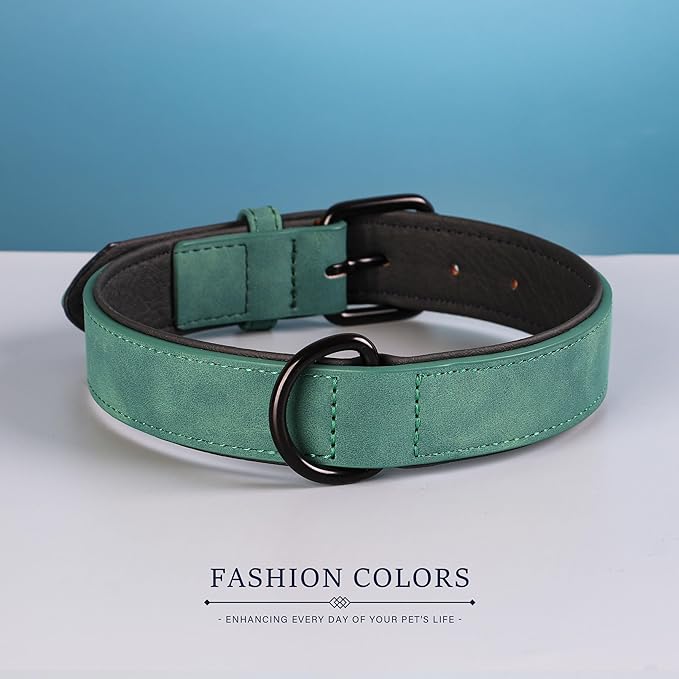 Didog Soft Padded PU Leather Dog Collar, Breathable and Adjustable Dog Collars for Medium Dogs, Comfortable for Daily Walk, Green, L Fit Neck 13-17"(22-44 lbs)