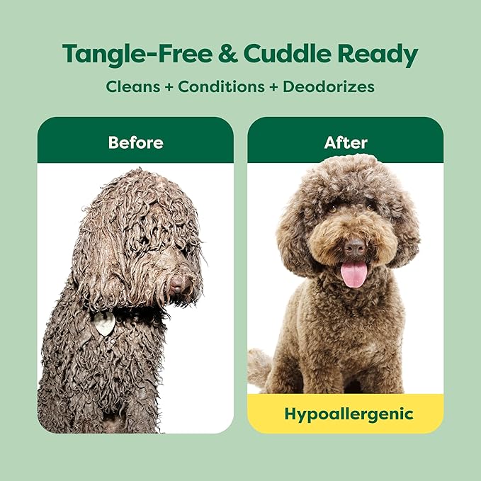 Earth Rated 3-in-1 Detangling Dog Shampoo and Conditioner, Deodorizing Oatmeal Shampoos for Dogs and Puppies, Great for Smelly Pets, White Tea and Basil Scent, 16 oz