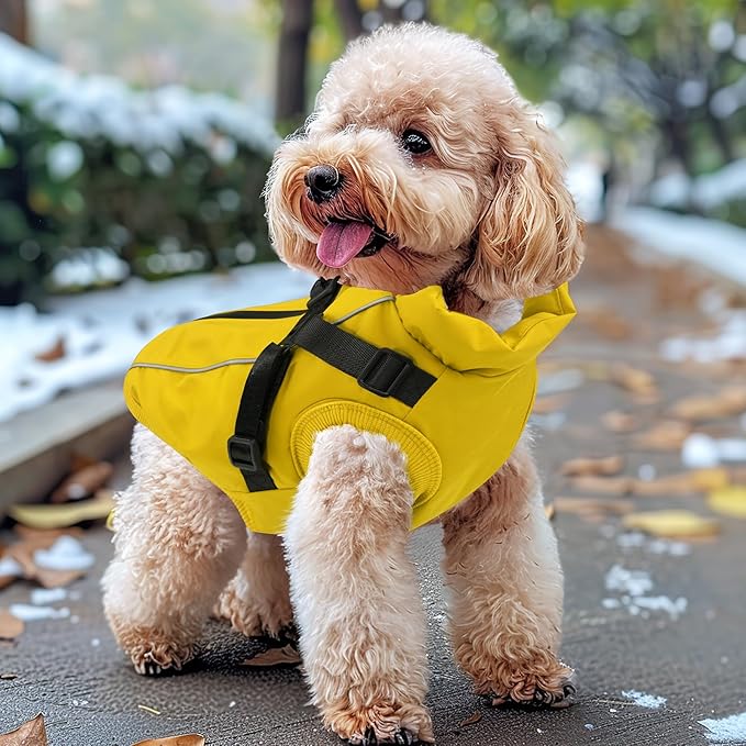 Dog Winter Coat Reflective Water-Resistant Jacket, Fleece Lined Windproof Puppy Coat with Back Zipper & D-Ring, Cold Weather Dog Coats for Small Medium Large Dogs (M, Orange)