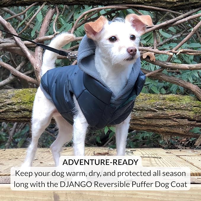 DJANGO Reversible Puffer Dog Coat – Warm Winter Dog Jacket & Water-Repellent Insulated Dog Coat w/Harness Hole, Windproof, Adjustable Fit for Small & Medium Dogs, Dachshunds – Twilight Blue, Small