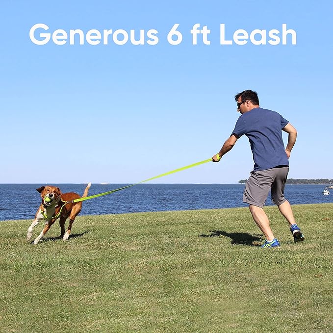Pawtitas 6 FT Comfortable Dog Leash - Reflective Handle, Heavy Duty Training Leash for Puppies & Small Dogs - Purple