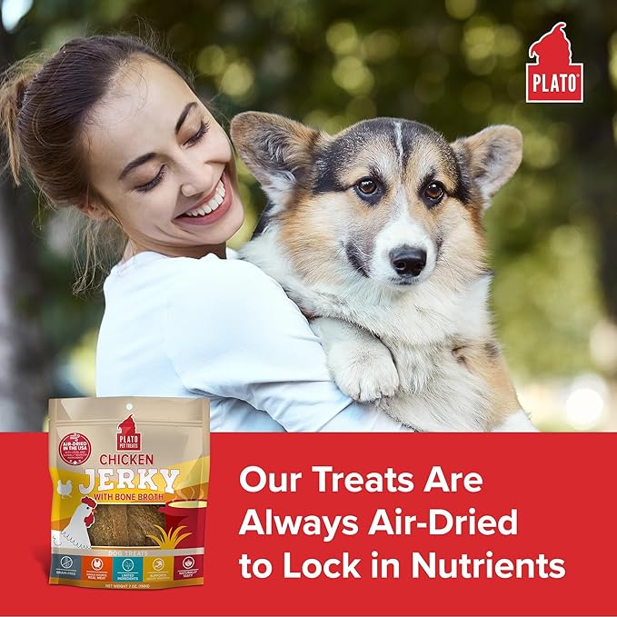 PLATO Pet Treats Jerky Dog Treats - Air-Dried Jerky for Dogs - Delicious, Real Meat Dog Treats - Grain Free - Supports Healthy Digestion - Chicken Jerky with Bone Broth 16oz