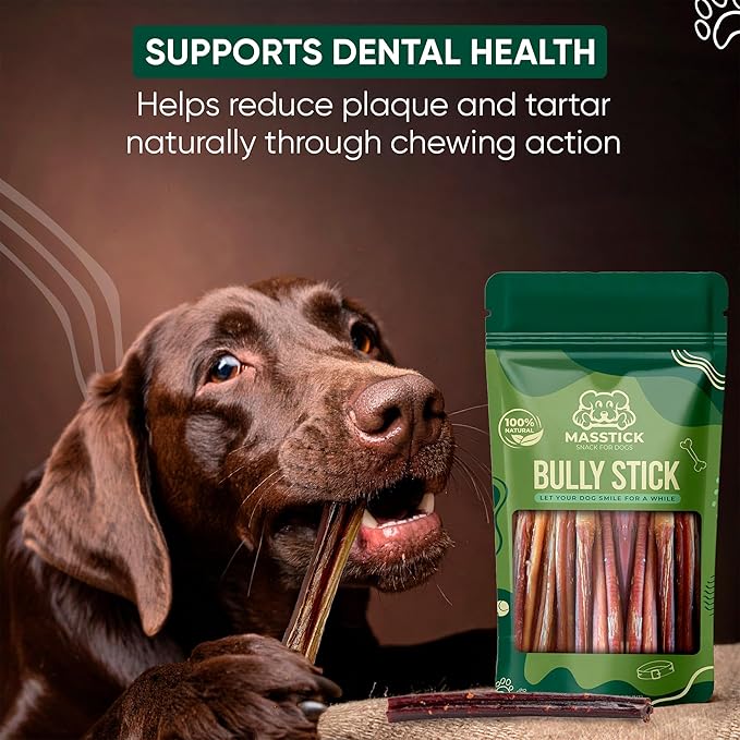 MASSTICK Bully Sticks for Dogs 7 Inch – Extra Thick, Long Lasting, Odor Free Beef Dog Chew Sticks – All Natural, Fully Digestible Treats for Small & Large Dogs – 8oz Bag