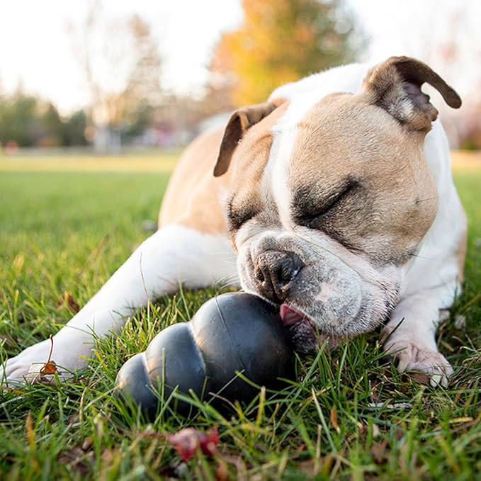 KONG Extreme Dog Toy - Fetch & Chew Toy - Treat-Filling Capabilities & Erratic Bounce for Extended Play Time Most Durable Natural Rubber Material - for Power Chewers - for X-Large Dogs