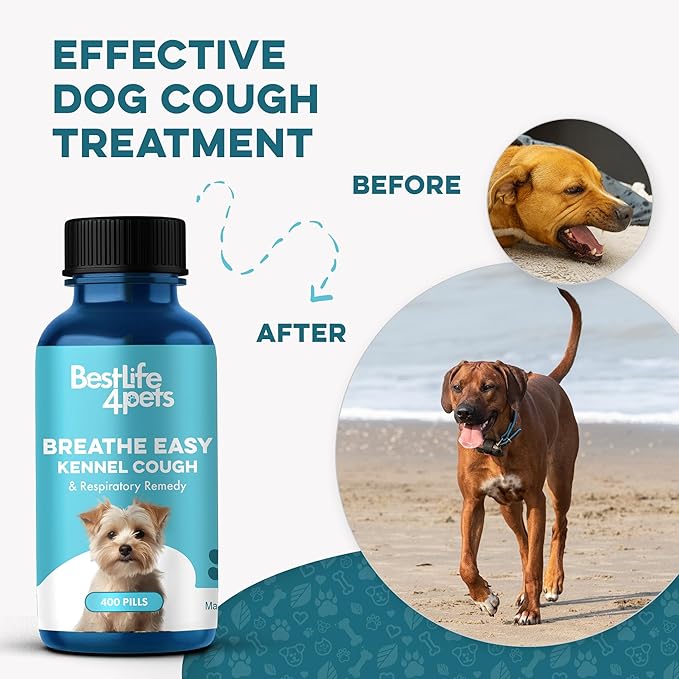 Dog Kennel Cough Treatment & Natural Decongestant, Breathe Easy Cough Treatment for Wheezing, Sneezing, and Nasal Congestion, Supports Respiratory Health and Eases Cold Symptoms, 800 Small Pills