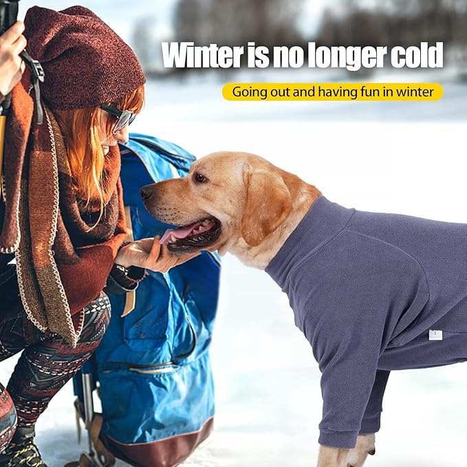 Dog Winter Coat,Warm Dog Jacket,Puppy Polar Fleece High Collar Full Body Snowsuit,Comfort Windproof Sweater(Grey,Small)