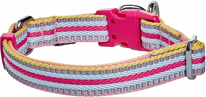 Blueberry Pet Safety Dog Collar with Dual D-Rings | 3M Reflective Multi-Colored Adjustable Collar in Pink and Pastel Blue | Soft Nylon Dog Collar for Active Large Dogs