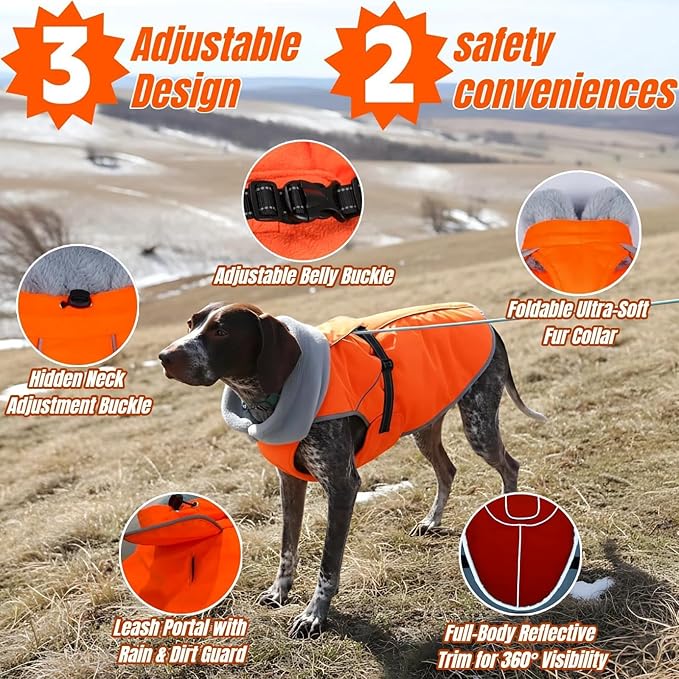 Insulated Outdoor Dog Winter Jacket, Hard Shell Pet Coat with 2 Layer Warmth, Waterproof & Lightweight Coats for Medium Dogs with Leash Portal, Durable 3D Belly Cut Jackets for Dachshund (Orange, M)