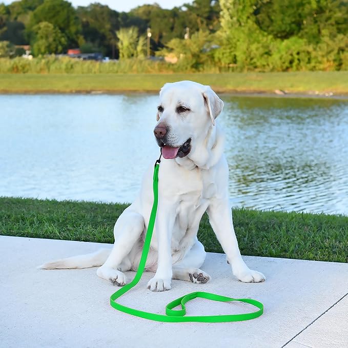 Dogline Biothane Waterproof Dog Leash Strong Coated Nylon Webbing with Black Hardware Odor-Proof Easy to Clean High Performance for Small or Large Dogs Made in USA 2 ft Lead, Tropical Green