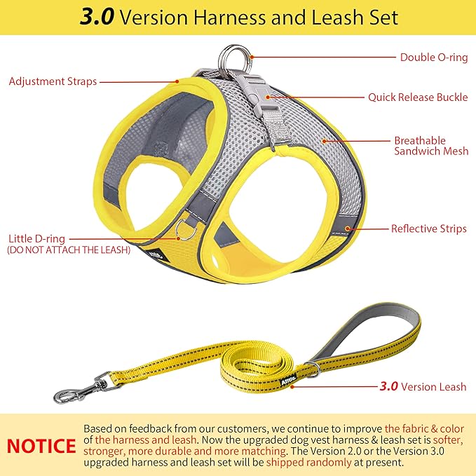 AIITLE No Pull Dog Harness and Leash Set, Step in Adjustable Pet Harnesses with Padded Vest for All Weather, Dog Leash with Soft Padded Handle, Easy to Put on Small and Medium Dogs Yellow S