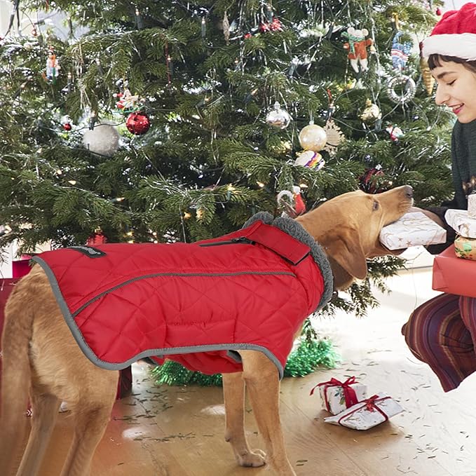 Fragralley Dog Coat Medium, Waterproof Dog Jacket with Warm Fleece Lining, Adjustable Reflective Dogs Winter Coat, Turtleneck Pet Coats for Cold Weather (Red M)
