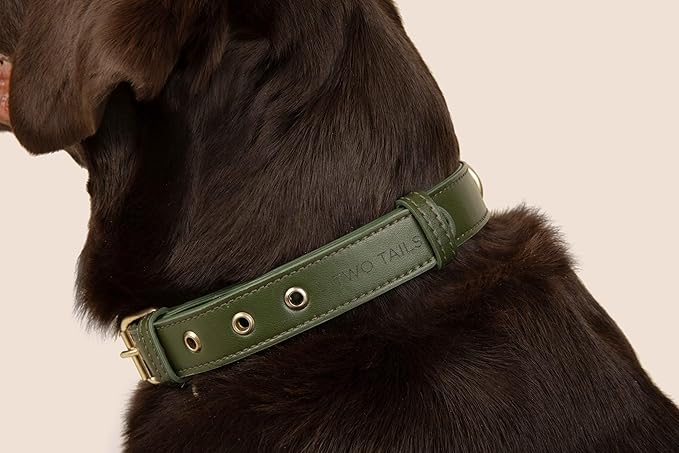 Two Tails Pet Company Cactus Vegan Leather Dog Collar, Adjustable Pet Collar with Gold Hardware and D Rings for Leash and ID Tag for Dogs and Puppies, Easy to Clean & Eco Friendly, Green, Size Small