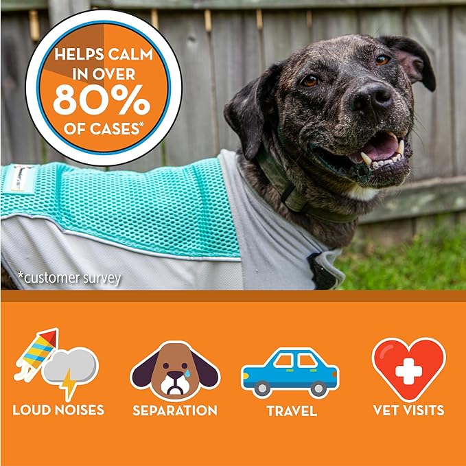 ThunderShirt Breeze for Dogs, Large, Aqua, Extra Breathable Mesh Fabric, Dog Anxiety Relief Vest for Every Day Stress & Calming During Thunder Storms and Fireworks