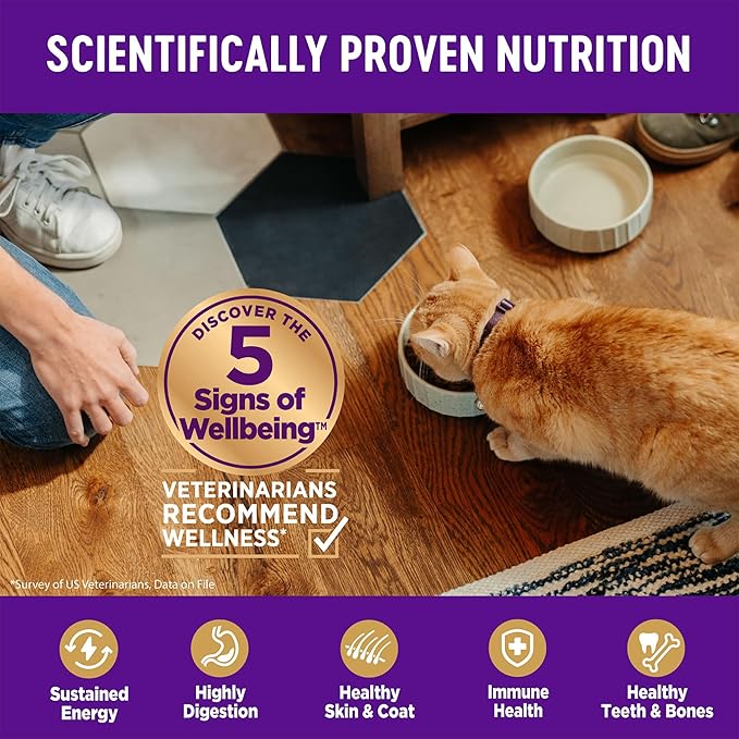 Wellness Complete Health Adult Dry Cat Food for Indoor Cats, Grain Free, Natural, Salmon and Herring Meal (11.5 Pound Bag)