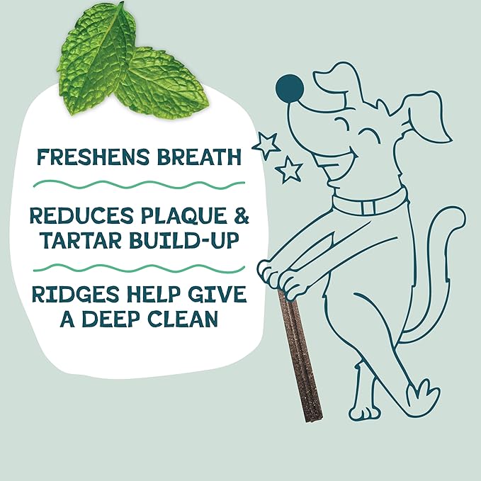 Shameless Pets Dental Treats for Dogs, Banana Bone-Anza (32 Sticks) - Supports Hip & Joint for Teeth Cleaning & Fresh Breath - Dog Bones Dental Chews Free from Grain, Corn & Soy