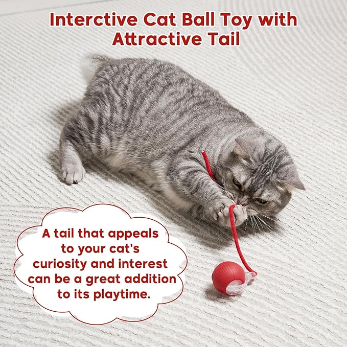 Interactive Dog & Cat Toy, Electric Automatic Rolling Moving Toys, Self Activated Play Smart Rolling Ball for Dogs & Cats, Chase Teaser Pet Ball for Bored Indoor Cats & Dogs