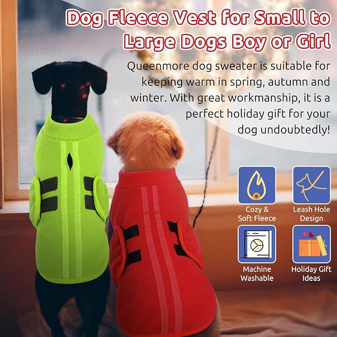 Queenmore XXS Soft Fleece Vest Pullover Dog Jacket with Leash Hole, Warm Winter Clothes for Small Dogs & Cats, Boy or Girl (Green, XXS)