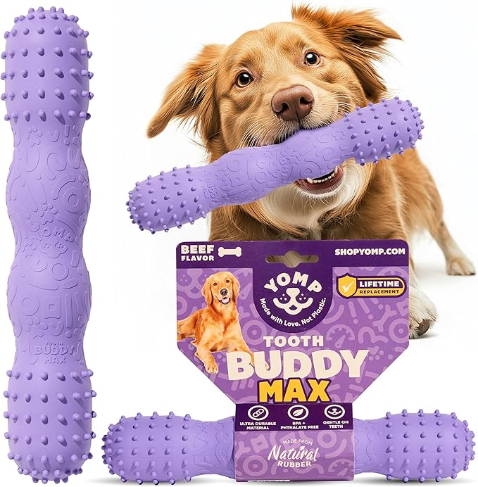 Yomp ToothBuddy MAX Dog Toy – Fetch-Ready & Dishwasher Safe