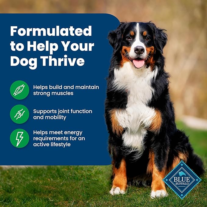 Blue Buffalo Life Protection Formula Natural Adult Dry Dog Food, Lamb and Brown Rice 15-lb
