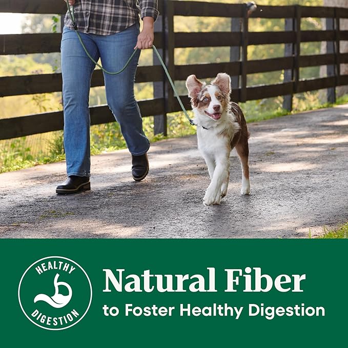 Nutro Natural Choice Chicken & Brown Rice Puppy Food Dry Recipe, 13 lb. Bag