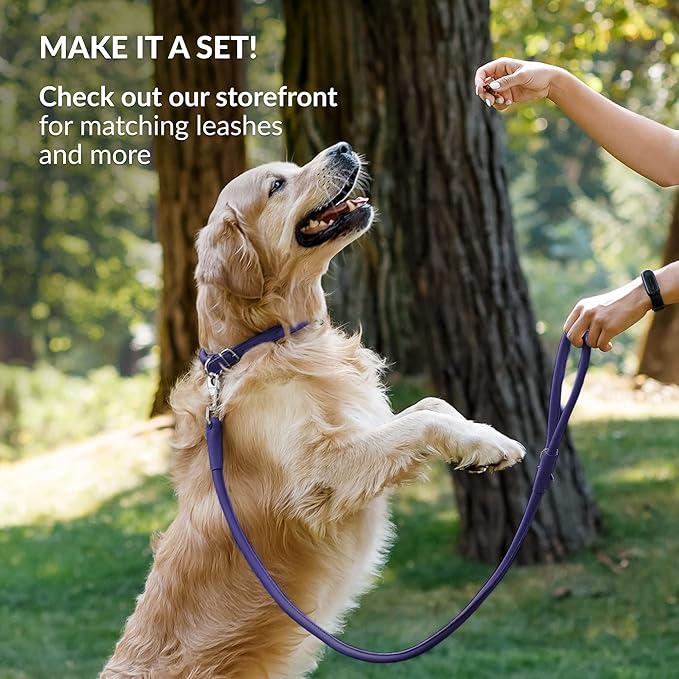 CollarDirect Rolled Leather Dog Collar, Soft Padded Round Puppy Collar, Handmade Genuine Leather Collar Dog Small Large Cat Collars 13 Colors (18-22 Inch, Purple Smooth)