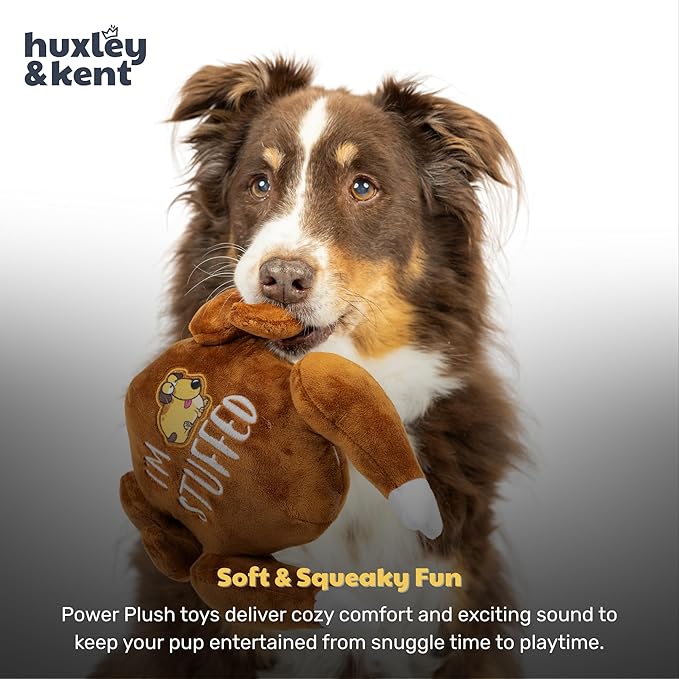 Huxley & Kent Funny Dog Toy w/Squeaker – Thanksgiving Fall Power Plush Squeaky Dog Toys for Small, Medium & Large Dogs – Soft Stuffed Animal for Indoor Play & Fetch - I'm Stuffed Turkey, Large