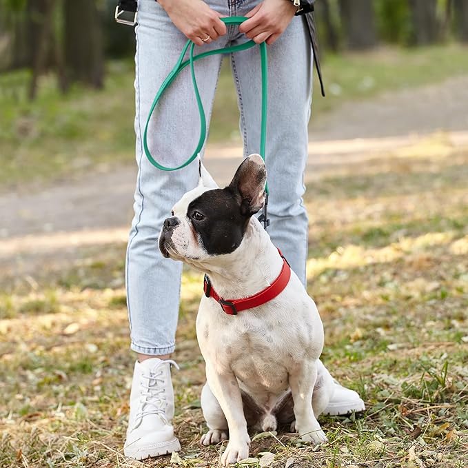 Dogline Biothane Waterproof Dog Leash Strong Coated Nylon Webbing with Black Hardware Odor-Proof Easy to Clean High Performance for Small or Large Dogs Made in USA 4 or 6 ft Lead, Teal