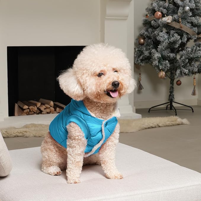 Fleece Lining Extra Warm Dog Hoodie in Winter,Small Dog Jacket Puppy Coats with Hooded,Light Blue XS