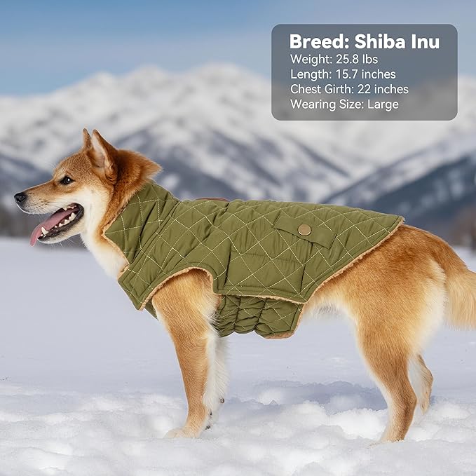 Dog Winter Coat, Waterproof Warm Dog Jackets for Large Dogs Boy, Adjustable Pet Vest Windproof Cold Weather Clothes Dogs Snowsuit with Leash Hole, Green XX-Large
