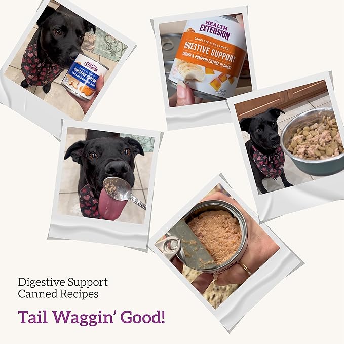 Health Extension Digestive Support Variety Pack Wet Dog Food, (9 oz, Case of 6 Cans) – Complete & Balanced with Superfoods & Gravy for Optimal Digestion