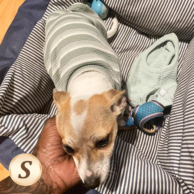 KYEESE 2Pack Dog Shirts Waffle for Small Dogs Stretchy T-Shirts Lightweight Tank Top Sleeveless Vest Breathable Cat Tee, Small, Blue+Grey