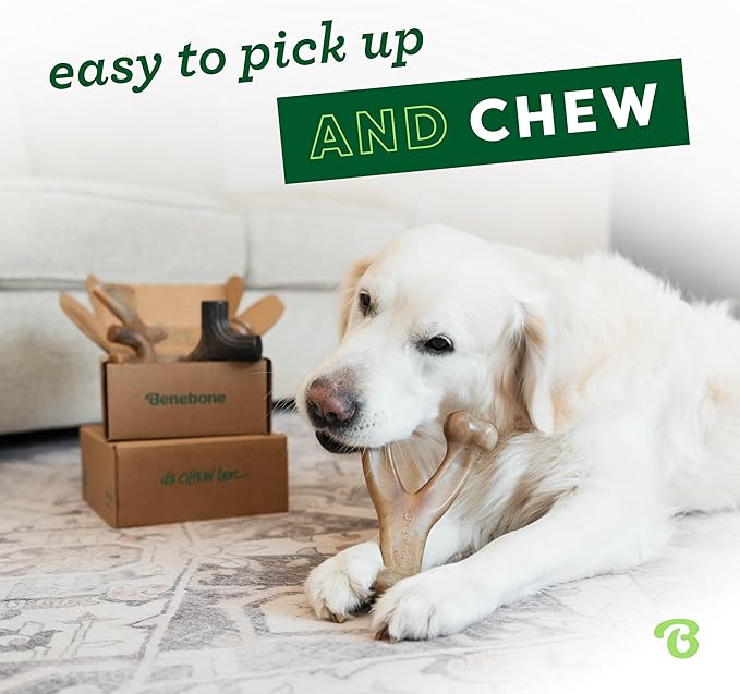Benebone Small 4-Pack Dog Chew Toys for Aggressive Chewers, Made in USA, 30lbs and Under