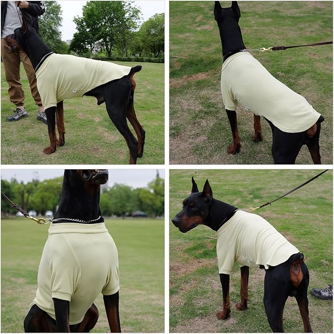 Lovelonglong Ribbed Dog T-Shirt Cotton Knitted Dog Sweaters for All Season Pet T-Shirts for Large Medium Small Dogs Chartreuse XS