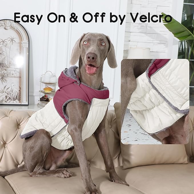 Detachable Hooded Dog Coat with Harness for Small Dogs,Super Warm Fleece Puppy Jacket for Cold Winter Doggie Coats,Red M