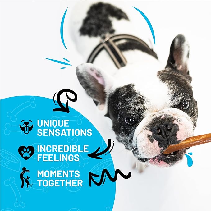 Sitka Farms Bully Sticks 12 inch - (10 Count) Long Lasting Dental Dog Chew Treats - All Natural Free-Range Grass-Fed Beef, Bully Sticks for Puppies Grain & Rawhide Free Chews