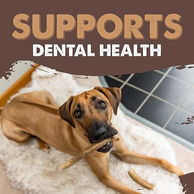 Mighty Paw Split Elk Antlers for Dogs (Sourced in The USA) | 2 Whole Large 8"+ Long Lasting Bones for Aggressive Chewers - Naturally Shed Split Deer Antler for Dogs - Low Odor Chews (Pack of 2)