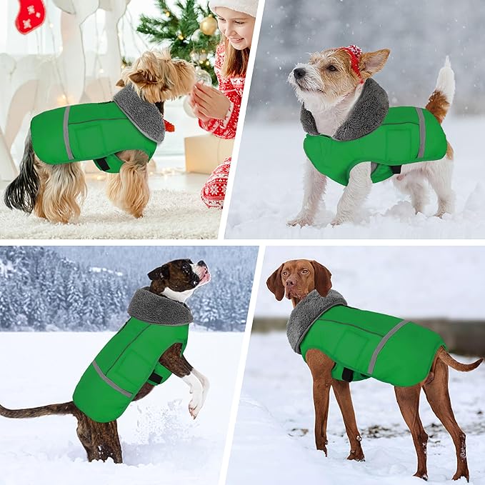 Dogcheer Warm Dog Coat, Waterproof Dog Jacket Christmas Puppy Winter Coat with Buckle, Reflective Adjustable Pet Snow Jacket Turtleneck Fleece Sweater for Small Medium Large Dogs - Green, M