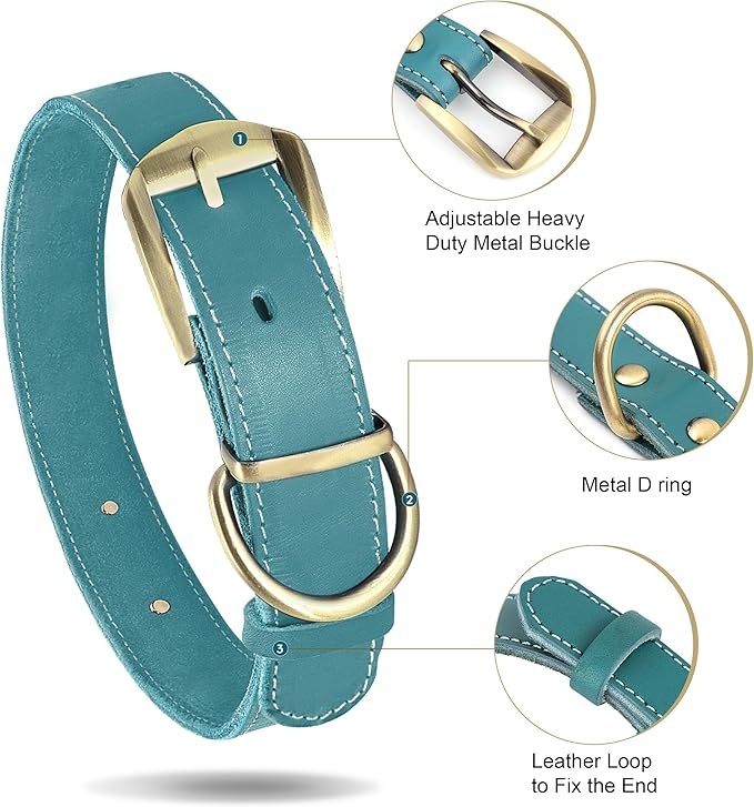 Didog Genuine Leather Dog Collars with Engraved Nameplate, Personalized Soft Leather Dog Collar with Custom ID Tag, Brown/Green/Red for Medium Large Dogs (L,Blue)