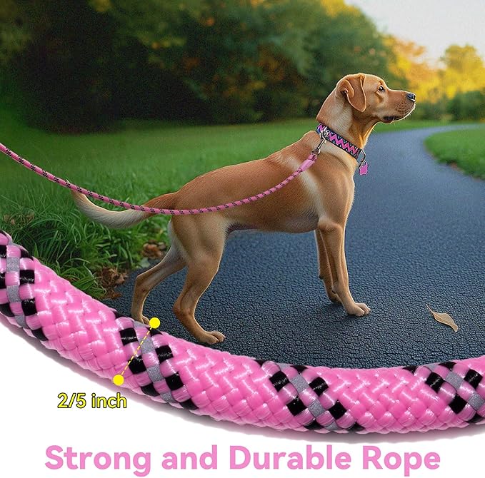 Nylon Dog Leash 6FT 10FT 20FT 30FT Diameter 2/5 Inch with Comfortable Silicone Handle Highly Reflective No Tangle for Medium Large Dogs Outside Walking Camping Backyard. (Pink, 30FT)