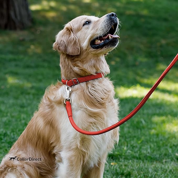 CollarDirect Rolled Leather Dog Collar, Soft Padded Round Puppy Collar, Handmade Genuine Leather Collar Dog Small Large Cat Collars 13 Colors (8-11 Inch, Red Textured)