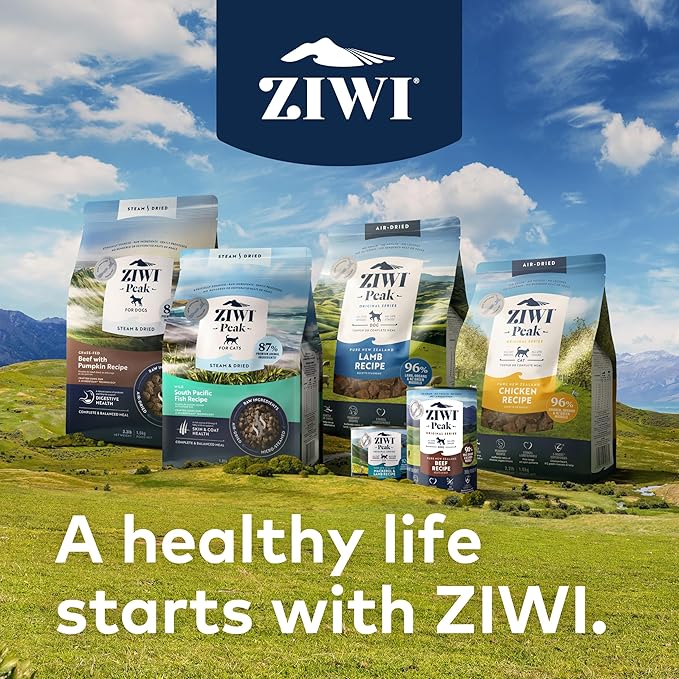 ZIWI Peak Wet Cat Food – All Natural, High Protein, Grain Free, Limited Ingredient, with Superfoods (Mackerel, Case of 12, 6.5oz Cans)