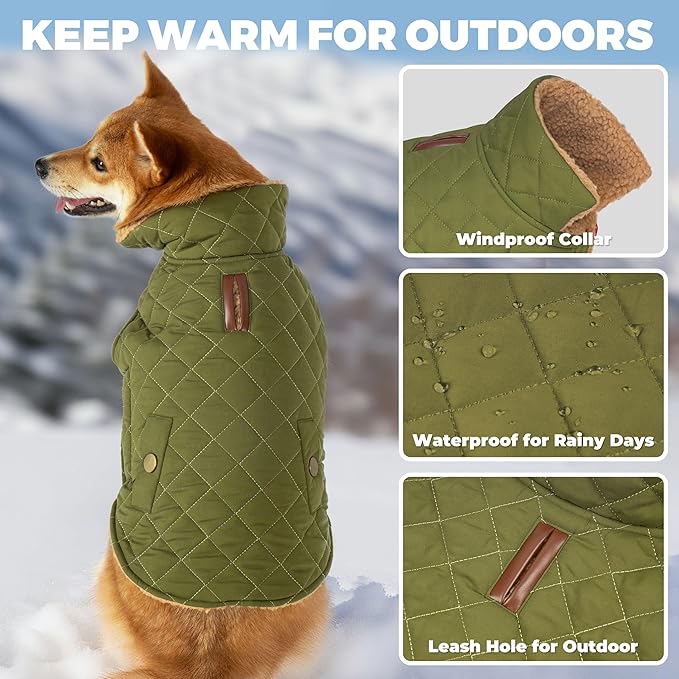Dog Coat, Warm Winter Dog Waterproof Jacket for Medium Dogs, Fleece Lined Adjustable Dogs Coats Cold Weather Windproof Doggie Snowsuit with Leash Hole, Green X-Large