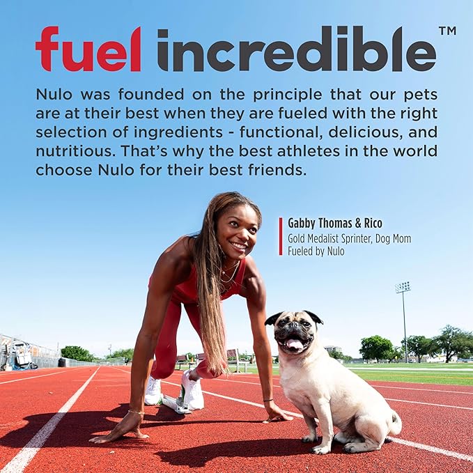 Nulo Frontrunner Ancient Grains High-Protein Dog Food, Beef, Barley, & Lamb Recipe- Natural Dry Dog Food with Probiotics, Grain-Inclusive Kibble for Adult Dogs, 25 lb Bag