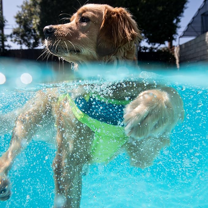 Outward Hound Standley Sport Dog Life Jacket, High-Performance Ripstop Dog Life Vest for Swimming, Boating, and Water Safety, XL, Green