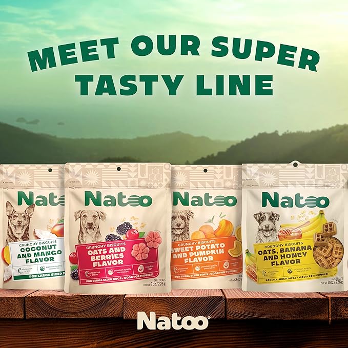 NATOO Healthy Treats for Large Dogs, Crunchy Biscuits Coconut & Mango Flavor – Natural Dog Treats, Rich in Omega 6, Prebiotics & Fiber, Antioxidants for Immunity (8 oz)